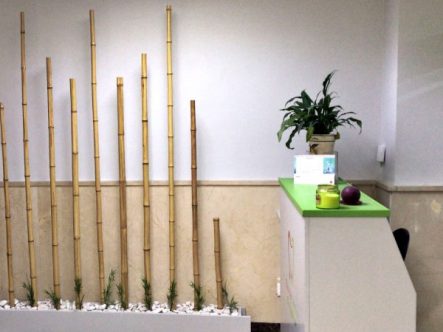 Clínica dental Mentrisalud | El Espinar | Recepción